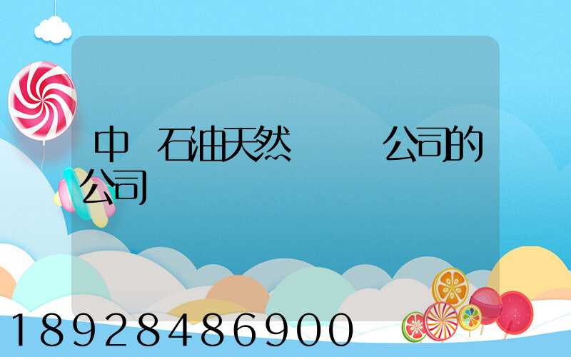 中國石油天然氣運輸公司的公司領導