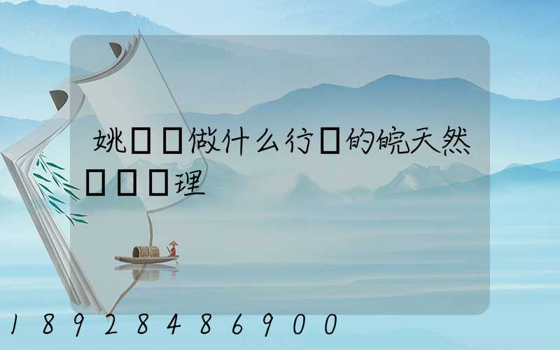 姚禮進做什么行業的皖天然氣總經理