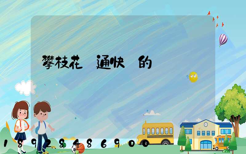攀枝花圓通快遞的電話號碼